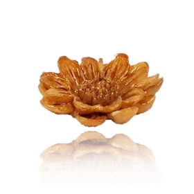 MVU058	Úszó virág 5 méhviasz gyertya